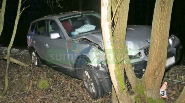 Řidička dostala smyk na náledí