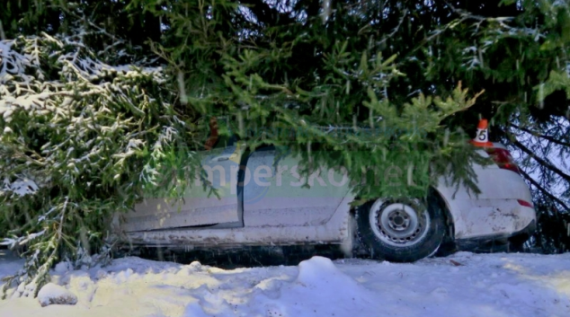 Řidič narazil do vzrostlých jehličnanů