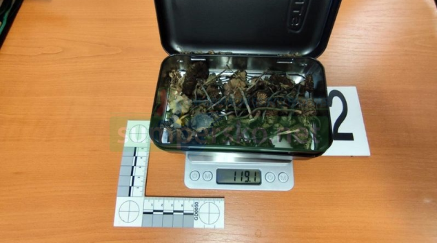 Přes Olomoucký kraj převáželi stovky lysohlávek