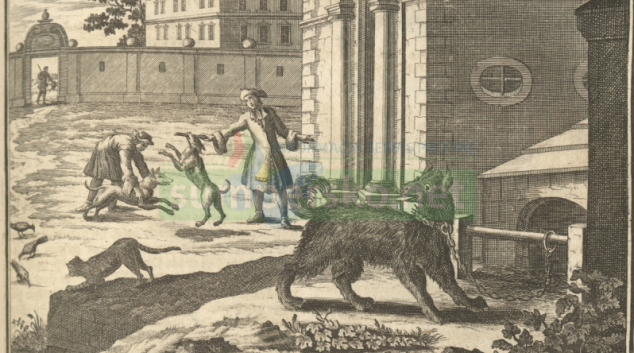 Jak člověk ke psovi přišel