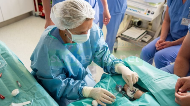 Z PICC týmu je nově Kanylační tým