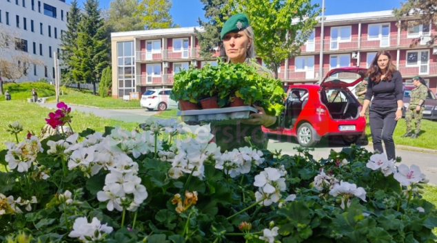 Muškáty z Flory našly nový domov na balkonech nemocnice
