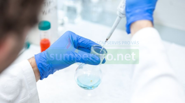 S bakteriemi i viry umí zatočit nový materiál