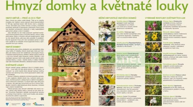 Univerzitní květnaté louky jsou ostrůvky života