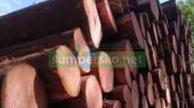 Na Hanušovicku zmizelo jasanové dřevo