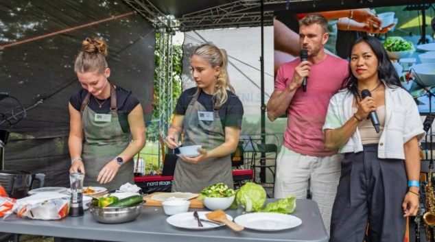 Festival Vidle Vidlička FEST