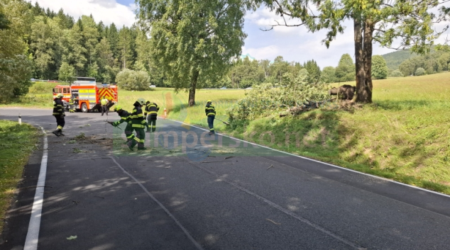 Foto: Zásahy hasičů kvůli silnému větru