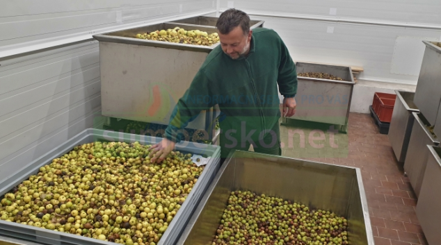 Velká úroda lesních plodů