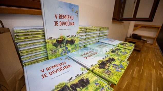 Lesní třída i medový festival