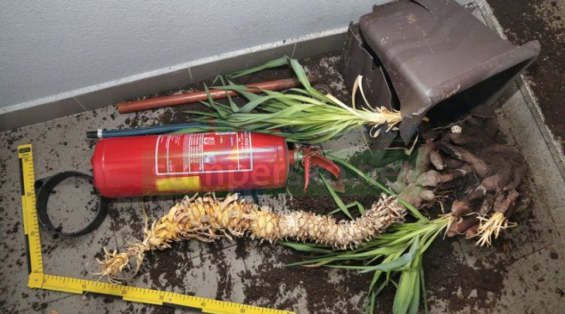 Agresivní vandal v Jeseníku