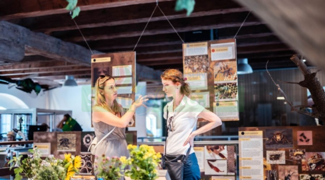 Včely v hlavní roli