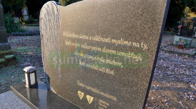 Zemřelým, kteří učí živé