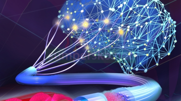 Olomoučtí optici dešifrují informace ze světla