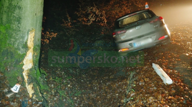 Zastavil se až o vzrostlý strom