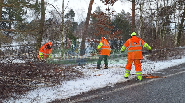 Stromy, které by mohly ohrozit provoz