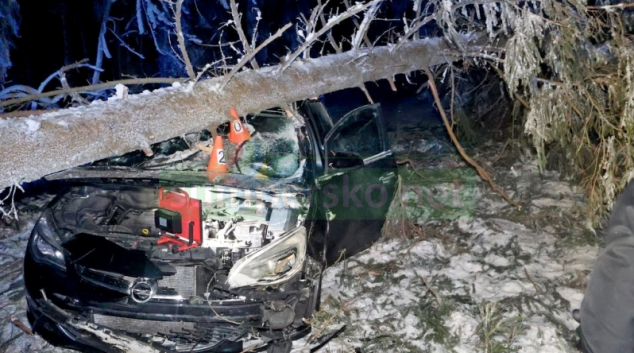 Pád stromu na auto a havárie na náledí