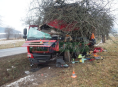 Řidič ve Velkých Losinách narazil do stromu
