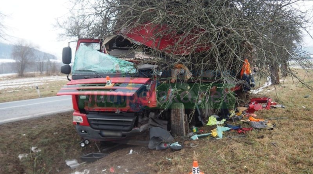 Řidič ve Velkých Losinách narazil do stromu
