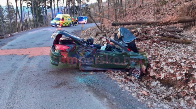 Řidička v Novém Malíně narazila do stromů