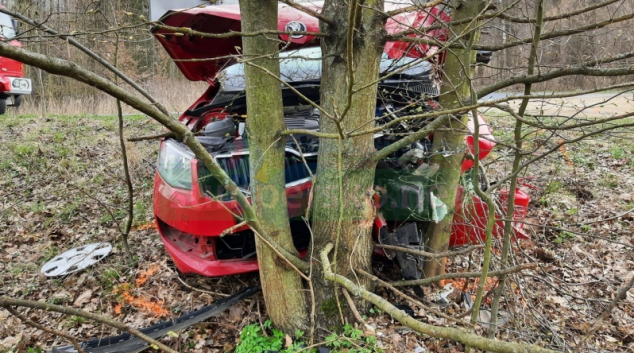 Řidič na Šumpersku čelně narazil do stromu