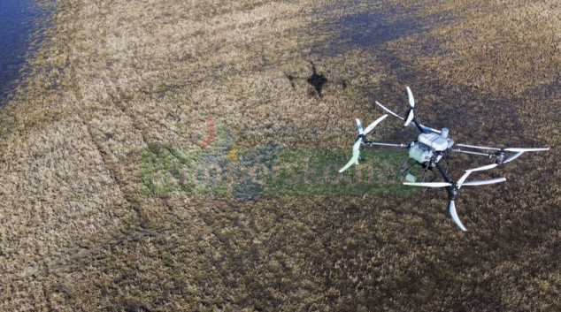 Vědci vylepší monitoring v Litovelském Pomoraví