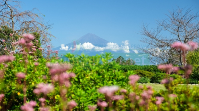 Japonsko očima cestovatele