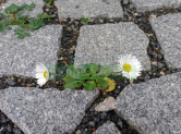 S kolem a vlakem na výlet i na dovolenou