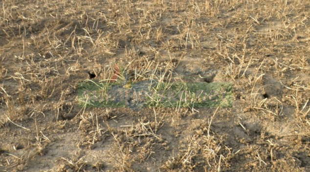 Změna velikosti polí a struktury krajiny