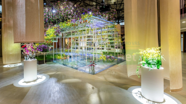 Tóny Flory propojily květiny, hudbu i emoce