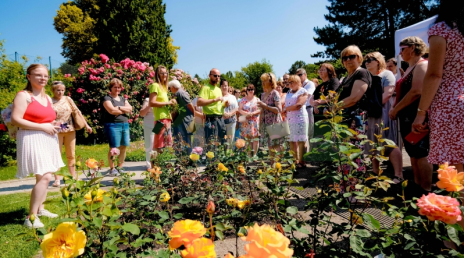 Festival Vyznání růžím