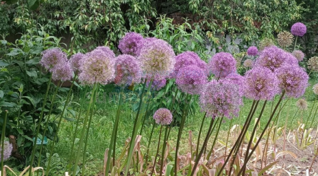 Výstaviště Flora Olomouc rozšířilo počet svých Národních sbírek
