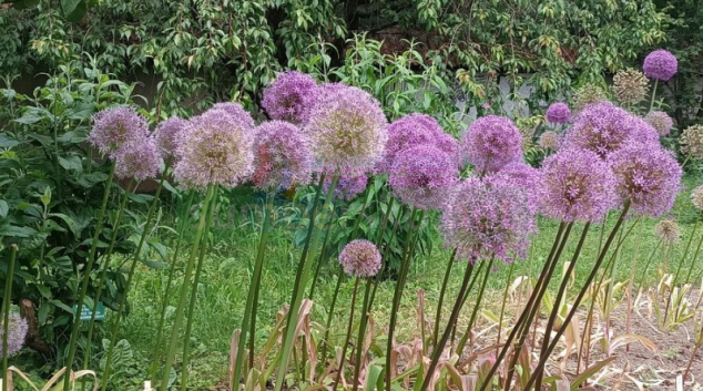Výstaviště Flora Olomouc rozšířilo počet svých Národních sbírek