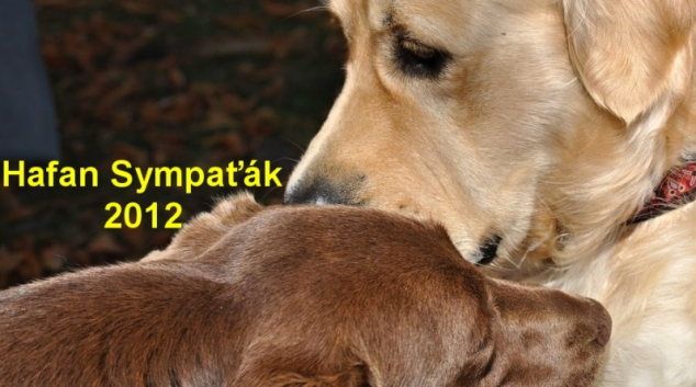 Soutěž - HAFAN SYMPAŤÁK 2012
