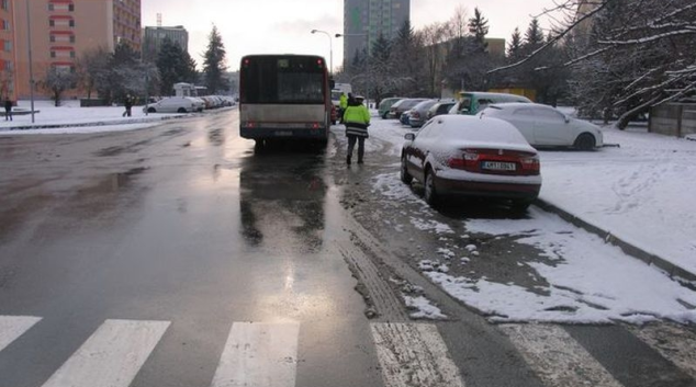 Venčení psa na dlouhém vodítku mohlo zavinit dopravní nehodu v Olomouci