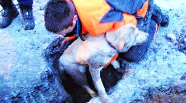 Labradora ve Svojanově zachránili hasiči z kanálu