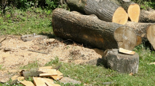 Šumperské květnové dřevosochání. Tvořit se budou pohádkové postavy