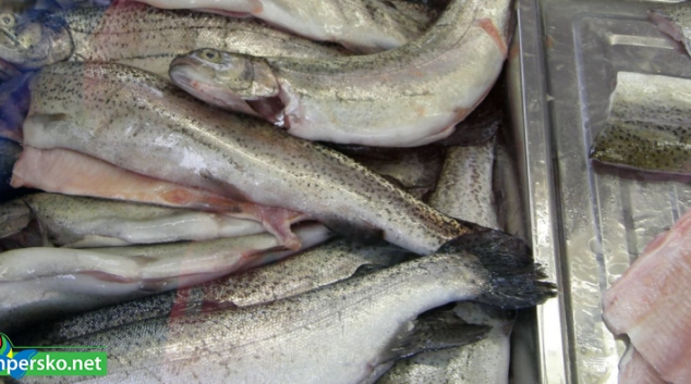 Výsledky kontrol potravin jsou on-line