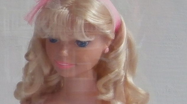 Zloděj v Olomouci ukradl panenky za desítky tisíc