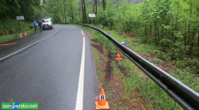 Srna zavinila dopravní nehodu v Bělé pod Pradědem