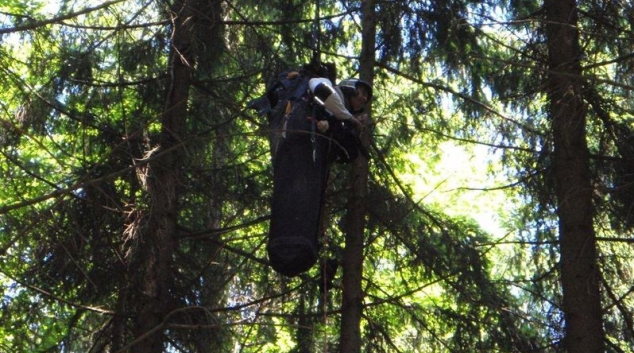 Paraglidistu sundávali hasiči ze stromu