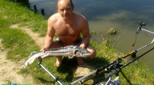 Rybaření na Sobáčovském rybníku