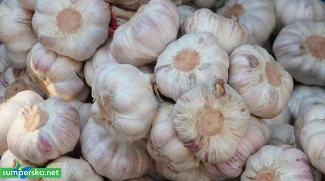 Česnekový zloděj v Mohelnici byl nešika