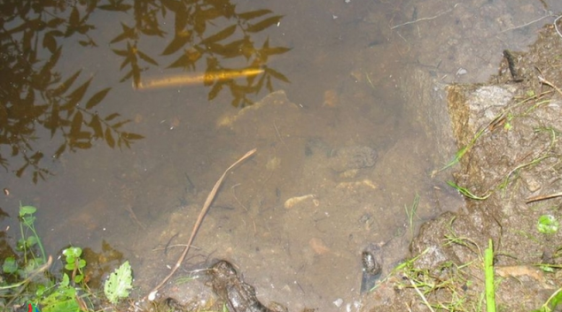 Děti na táboře u Drozdovské pily našly munici z války