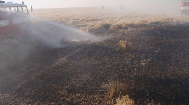 Během deseti dnů již potřetí hořelo pole u Nové Hradečné