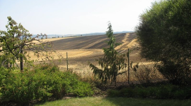 Ve čtvrtek vyjížděli hasiči během tří hodin k pěti požárům