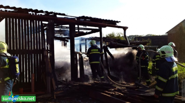 Při požáru na Olomoucku uhynula prasata a slepice