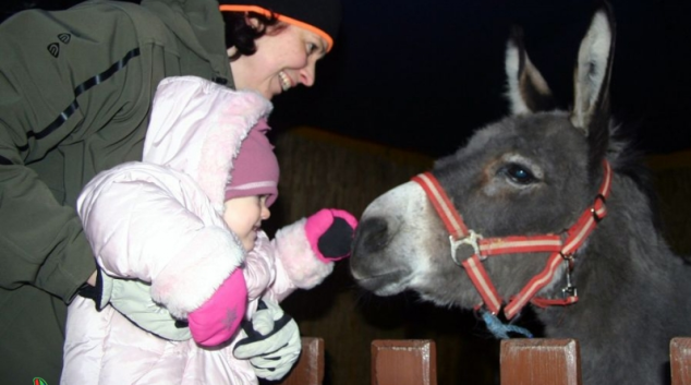 Jaký bude začátek adventu v Jeseníku?