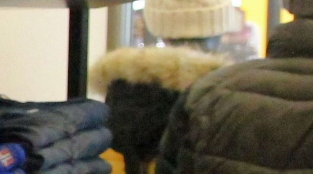 Nákupní horečka vrcholí.Figurínu v obchodním centru za den dvakrát okradl