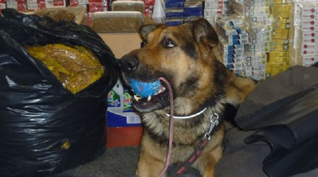 Pro Olomoucký kraji akce SKLO II dopadla dobře