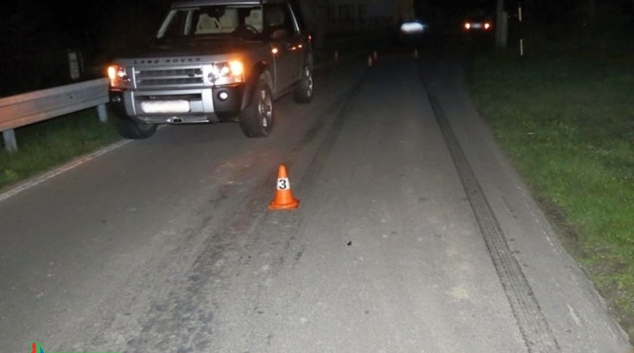 Řidiči v Bernarticích psa nepřejeli, ale srážce se nevyhnuli